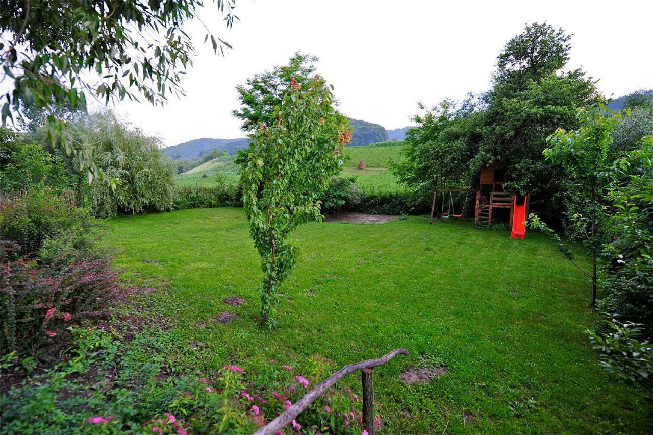 Vetca Transylvanian Country House מראה חיצוני תמונה